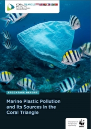 Marine Plastic Pollution and Its Sources in the Coral Triangle Marine Plastic Pollution and Its Sources in the Coral Triangle