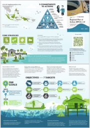 CTI-CFF Regional Plan of Action (RPOA) 2.0 Inforgraphics CTI-CFF Regional Plan of Action (RPOA) 2.0 Inforgraphics